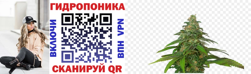 Где можно купить наркотики Очёр Каннабис Кокаин ГАШ